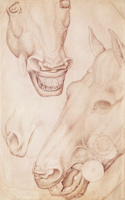Cabezas de caballos, del Álbum Vallardi de Antonio Pisanello