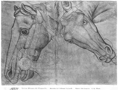 Cabezas de caballos, del Álbum Vallardi de Antonio Pisanello
