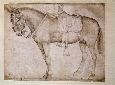 Arnés de mula. Dibujo de Antonio Pisano dit il Pisanello (1380-1455) de Antonio Pisanello