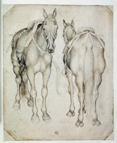 Dos arneses, vistos tres cuartos, uno desde el frente y el otro desde atrás. Dibujo de Pisano Antonio di Puccio dit Pisanello (1395-1455) de Antonio Pisanello