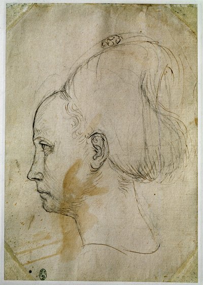 Cabeza de mujer joven, perfil hacia la izquierda de Antonio Pisanello