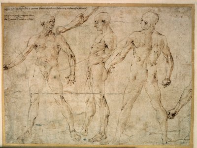 Tres hombres desnudos. Dibujo de Antonio Pollaiuolo (Pollaiolo) (1432-1498) de Antonio Pollaiuolo
