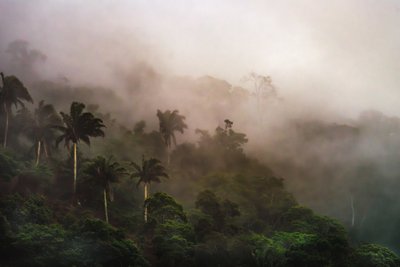 Corcovado XIX, 2020 (foto digital) de Antonio Schubert