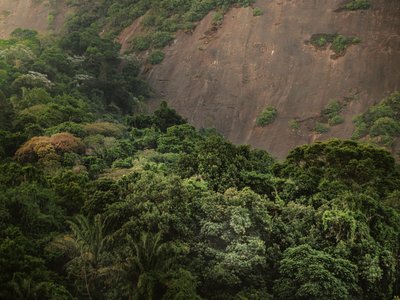 Corcovado XV, 2020 (fotografía digital) de Antonio Schubert