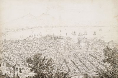 Vista panorámica de Nápoles de Antonio Senape