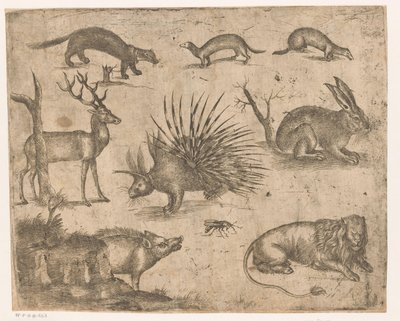 Ficha de estudio con diferentes animales de Antonio Tempesta (attributed to)