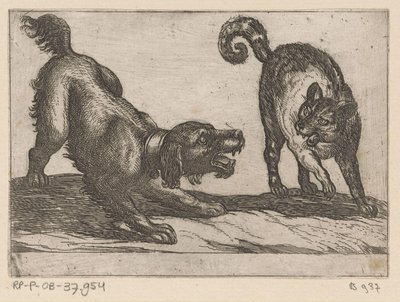 Un perro peleando con un gato Animales de pelea (título de la serie) de Antonio Tempesta