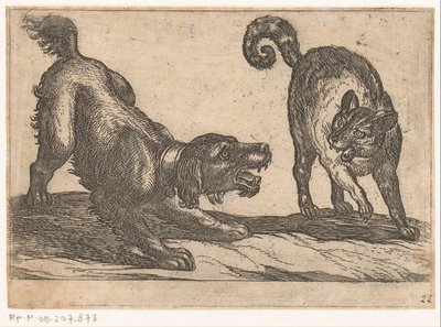 Un perro luchando contra un gato
Animales de combate (título de la serie) de Antonio Tempesta