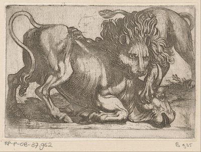 Un león atacando a un toro Animales de pelea (título de la serie) de Antonio Tempesta