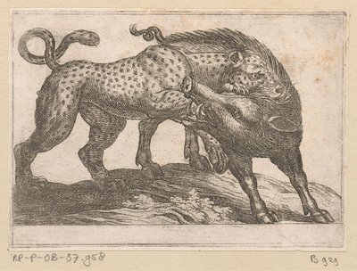Un leopardo luchando contra un jabalí Animales de pelea (título de la serie) de Antonio Tempesta