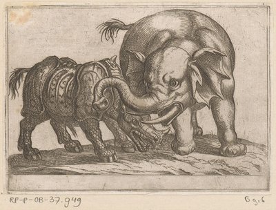 Un rinoceronte lucha contra un elefante. Animales de pelea (título de la serie) de Antonio Tempesta