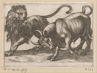 Un toro atacando a un león Animales de pelea (título de la serie) de Antonio Tempesta