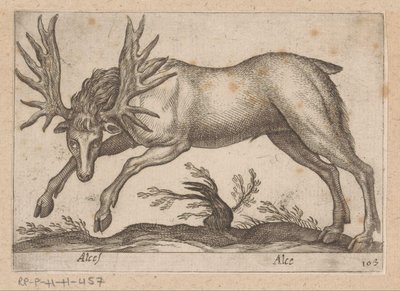 Elando Moose/ Moose (título sobre el objeto) Dieren en fablewezens (título de la serie) Nueva colección de los animales más curiosos del mundo (título de serie) de Antonio Tempesta