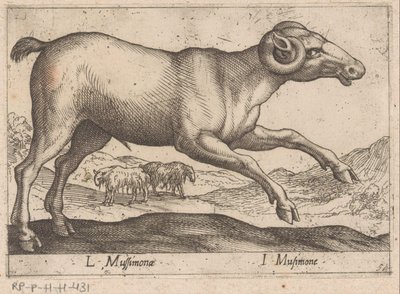 cabruno L Mussimonae/ I Musimone (título sobre objeto) Dieren en fablewezens (título de la serie) Nueva colección de los animales más curiosos del mundo (título de serie) de Antonio Tempesta