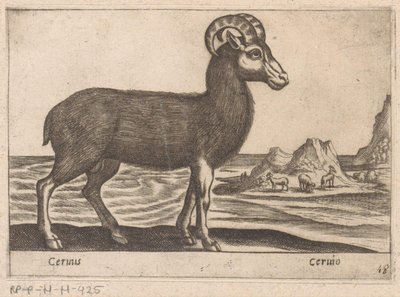 Gemas Cerinis / Ceruio (título sobre objeto) Dieren en fabelwezens (título de la serie) Colección Nova de los animales más curiosos del mundo (título de la serie) de Antonio Tempesta