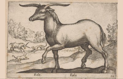 caballo con cuernos Eale/Eale (título sobre objeto) Animales y criaturas míticas (título de serie) Nova raccolta de li animali piu curiosi del mondo (título de la serie) de Antonio Tempesta