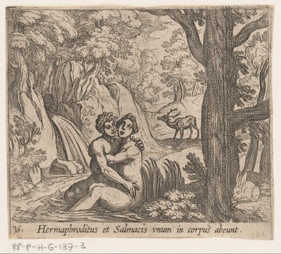 Salmacis y Hermafrodito Hermaphroditus y Salmacius parten como un solo cuerpo (título sobre el objeto) Metamorphoseon o transformaciones (título de la serie) Metamorfosen van Ovidius (título de la serie) de Antonio Tempesta