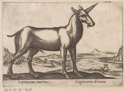 Capricornio como animal marino Capricornus marinus/ Capricorno di mare (título sobre objeto) Animales y criaturas míticas (título de serie) Nova raccolta de li animali piu curiosi del mondo (título de la serie) de Antonio Tempesta