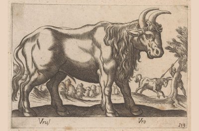 Toro Vrus/ Vro (título en objeto) Dieren en fablewezens (título de la serie) Nueva colección de los animales más curiosos del mundo (título de serie) de Antonio Tempesta