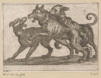 Dos perros peleando con un lobo Animales de pelea (título de la serie) de Antonio Tempesta