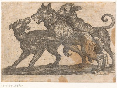 Dos perros luchando contra un lobo
Animales de combate (título de la serie) de Antonio Tempesta