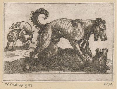 Dos perros de apareamiento y dos de pelea. Animales de pelea (título de la serie) de Antonio Tempesta