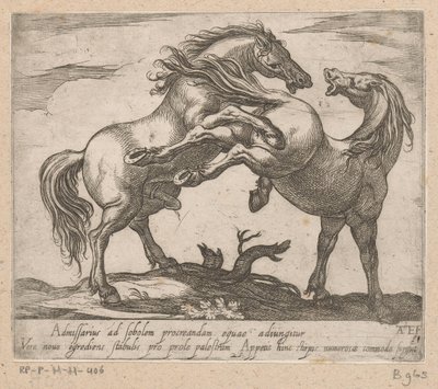Twee parende paarden Paarden uit verschiedelde landen (título de la serie) Con estos líderes serás celebrado como un líder con boca de viroru. de Antonio Tempesta