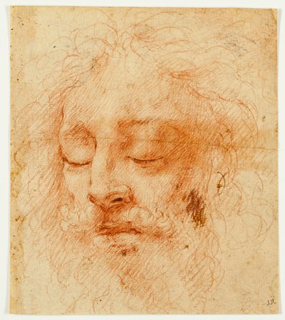 Cabeza de un hombre dormido de Antonio da Correggio