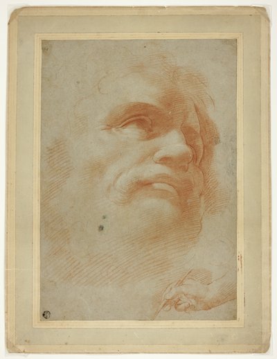 Cabeza masculina y boceto de mano derecha sosteniendo un estilete de Antonio da Correggio