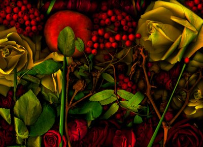  de Antonius Antonius