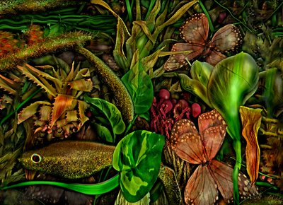  de Antonius Antonius