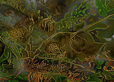  de Antonius Antonius