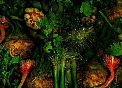  de Antonius Antonius