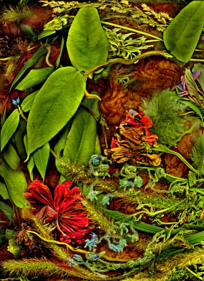  de Antonius Antonius