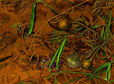 Earthart no.2, 2014 (foto) de Antonius Antonius