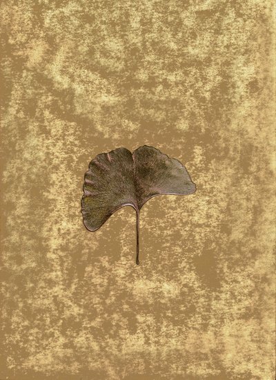 Ginkgo 3 de Antonius Antonius