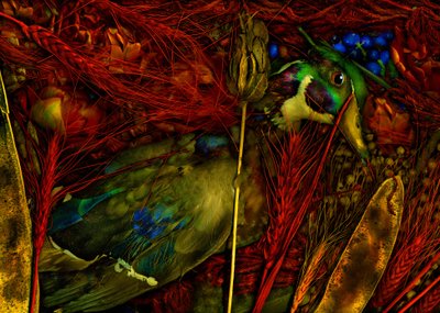 Jardín mágico nº 76, 2012 (foto) de Antonius Antonius