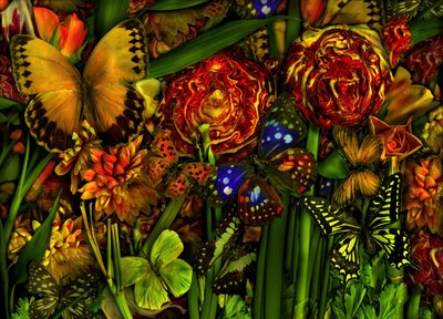 Verano, 2012 (foto) de Antonius Antonius