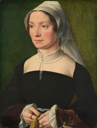 Esposa de un miembro de la familia de Hondecoeter, 1543 de Antwerp 16th Century