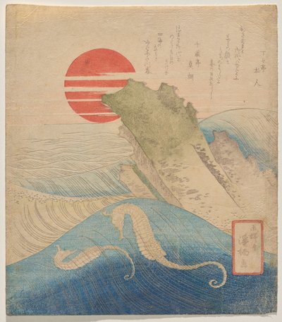 Caballitos de mar antes de un año nuevo naciente de Aoigaoka Keisei