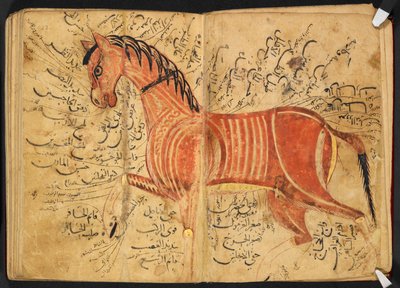 Caballo, de 