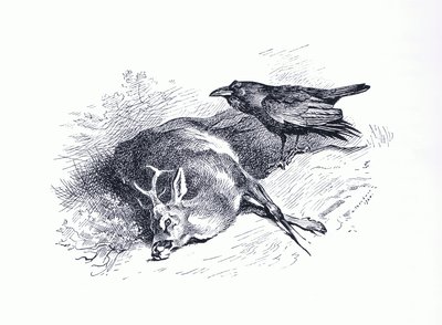 Ciervo muerto y cuervo, de los Mamíferos de Thorburn publicado por Longmans and Co, c. 1920 de Archibald Thorburn