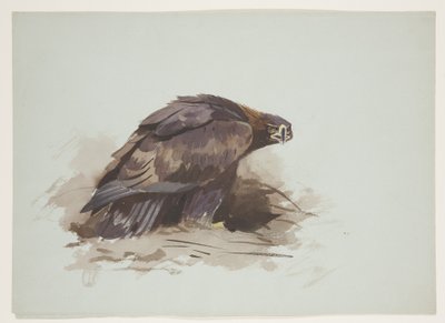 Águila dorada, c.1915 de Archibald Thorburn