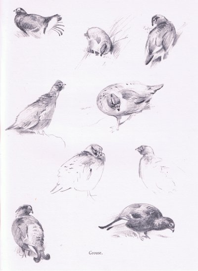 Urogallos de Archibald Thorburn