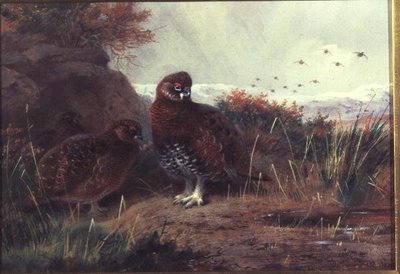 Urogallo en un paisaje invernal de Archibald Thorburn