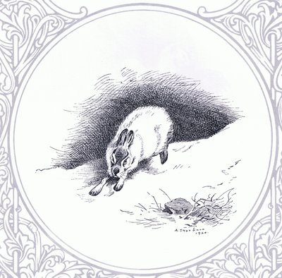 Liebre de montaña, pub. por Book Club Associates de Archibald Thorburn