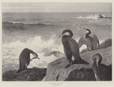 En la costa salvaje del oeste de Archibald Thorburn