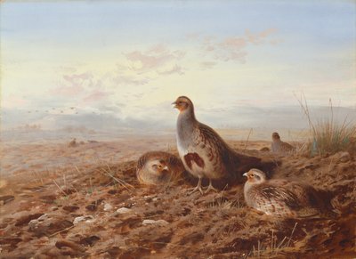 Perdices entre rastrojos de Archibald Thorburn