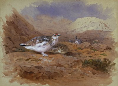 Perdiz nival en un paisaje montañoso de Archibald Thorburn