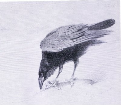 Cuervo, pub. por Book Club Associates de Archibald Thorburn